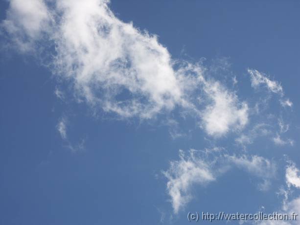 2004-08-20 18-08-46 Nature 104,0mm 1_400_eme F7,1 